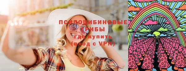 гашик Алзамай