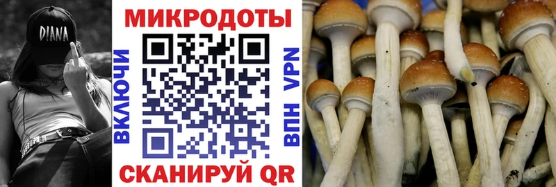 Псилоцибиновые грибы мухоморы  Ухта 